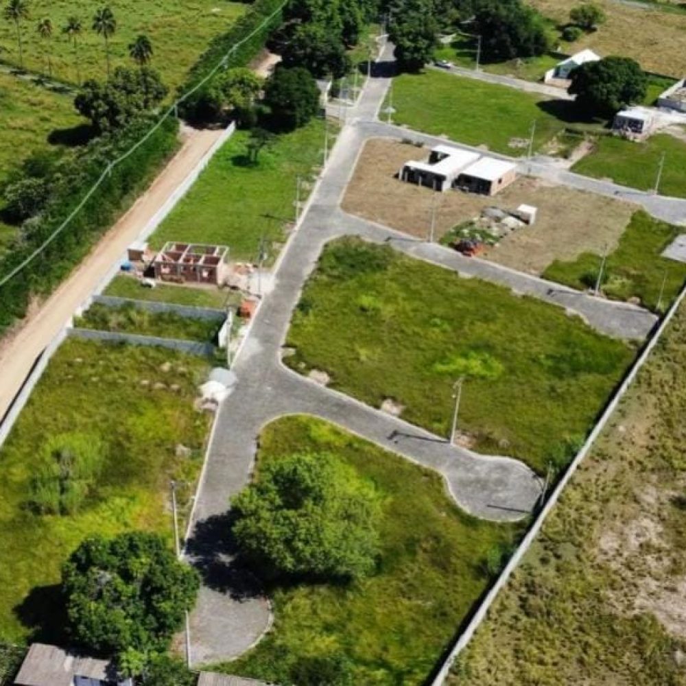 4. WhatsApp Image 2026-02-06 at 11.21.45 (1)